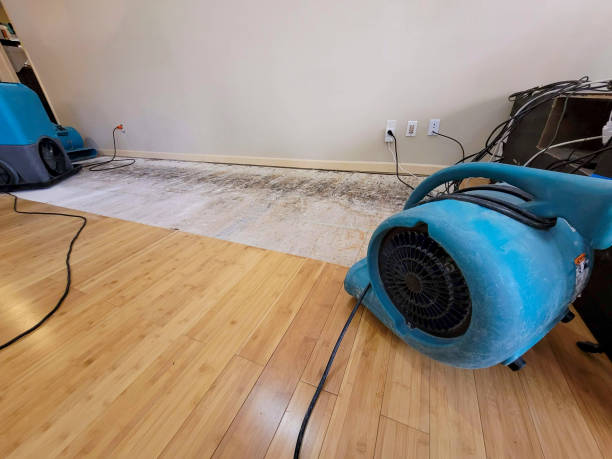 Professional Sewage Cleanup technician working in Long Beach, MD